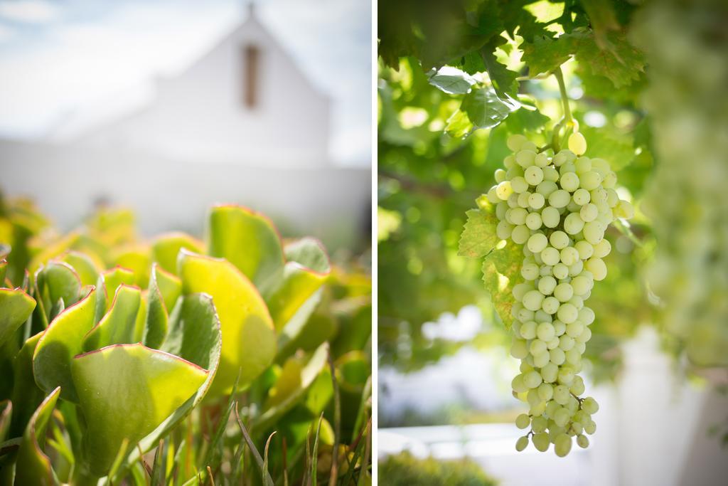 Prince Albert Country Stay ภายนอก รูปภาพ