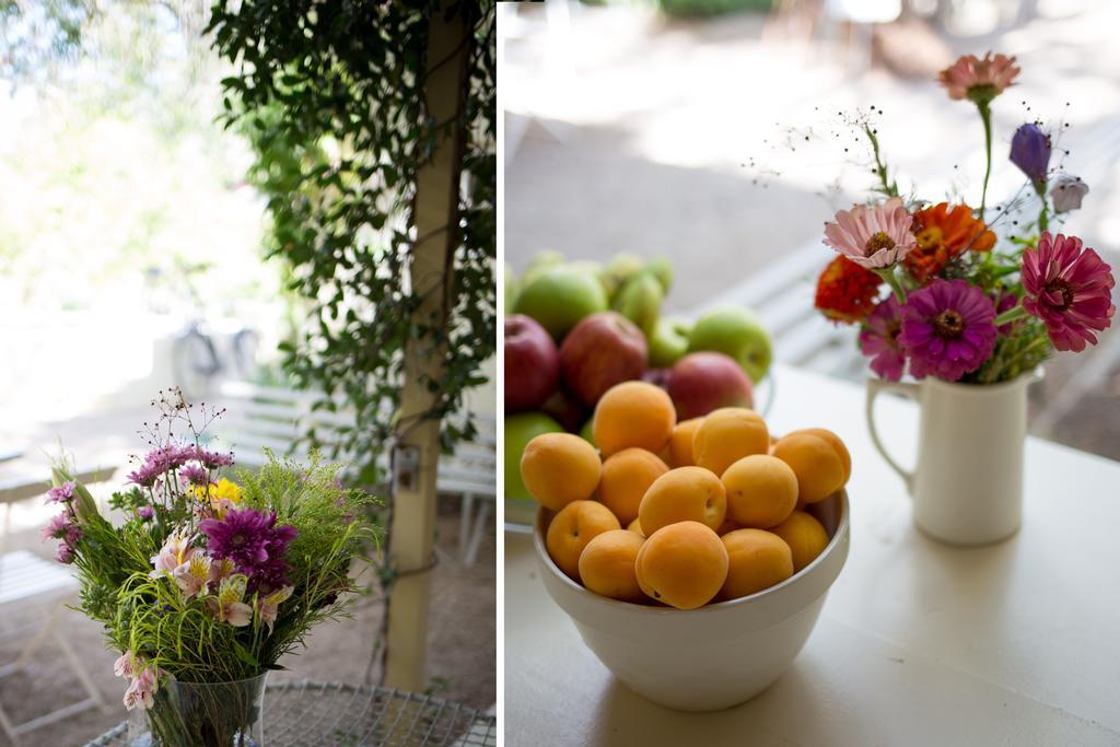 Prince Albert Country Stay ภายนอก รูปภาพ
