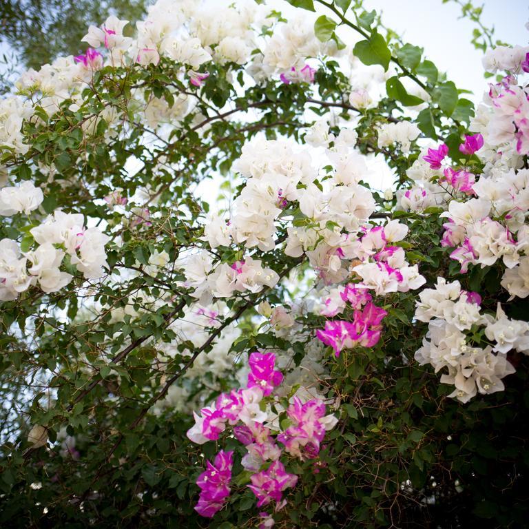 Prince Albert Country Stay ภายนอก รูปภาพ